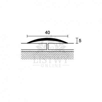 products41_A.jpg