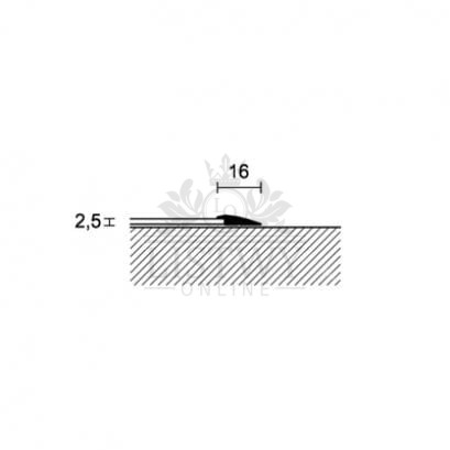 products54_A.jpg