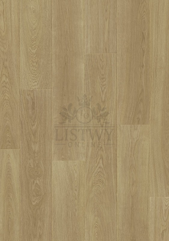 88601 Dąb Finezyjny.jpg