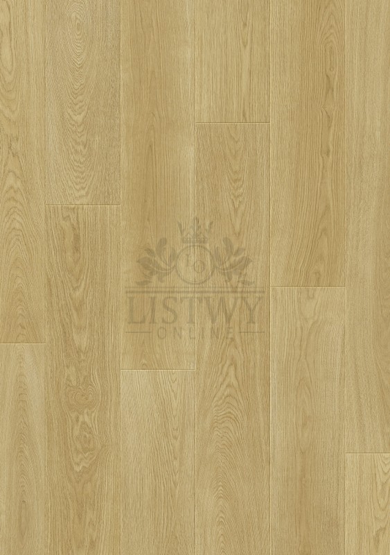 88831 Dąb Superior.jpg