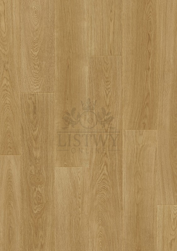 88832 Dąb Royal.jpg