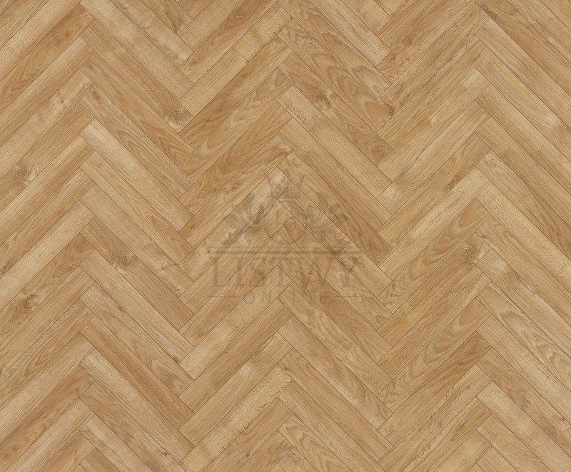 88047_Dąb Belweder_Jodełka.jpg