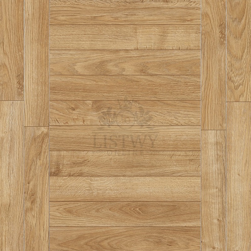 88047_Dąb Belweder_Drabina.jpg