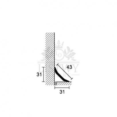 products169.jpg
