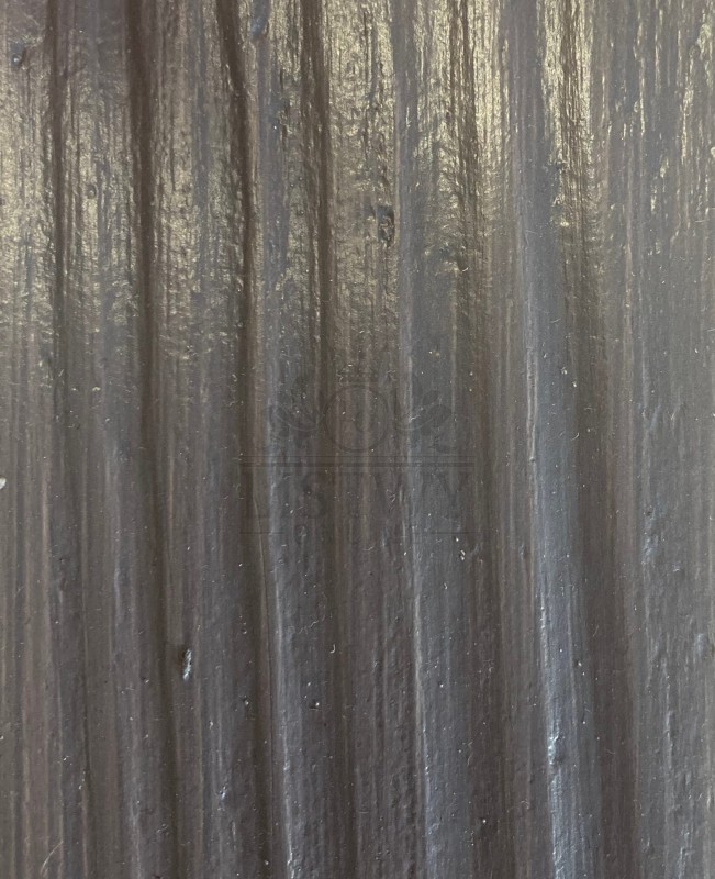 skamieniałe drzewo.jpg