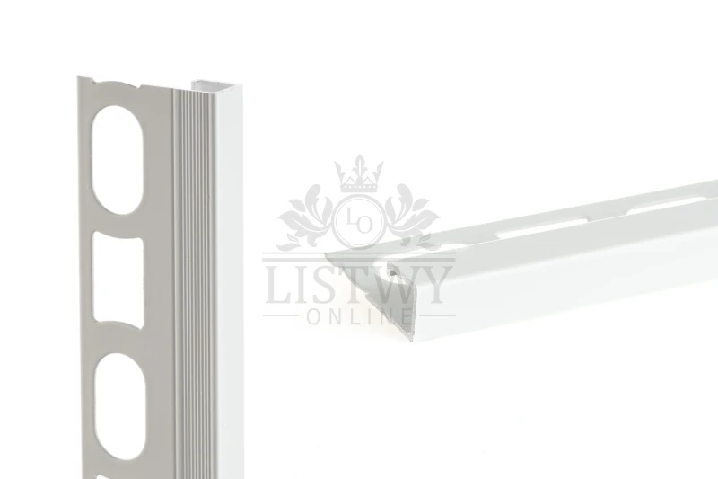 89081.webp