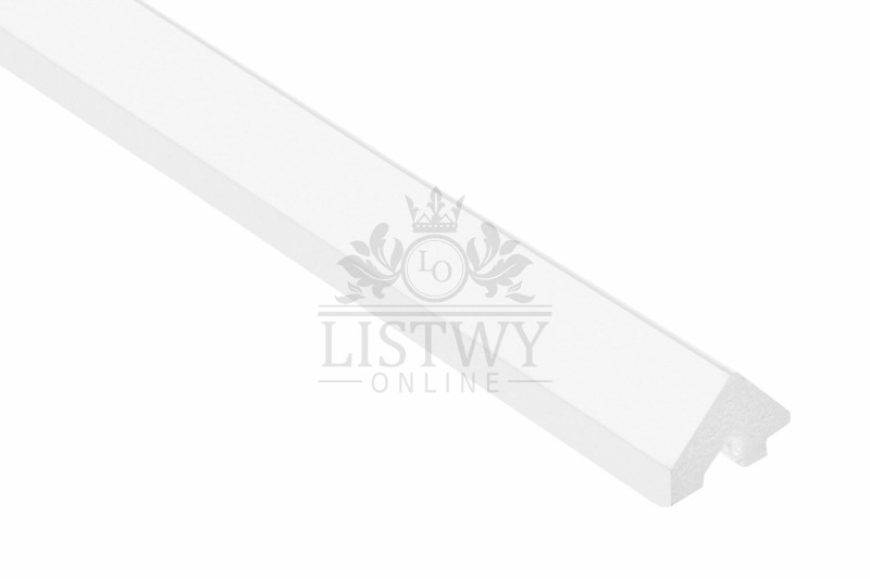 WP003LT-scaled.jpg