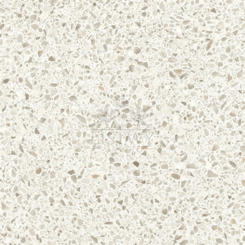 square lr (5).jpeg
