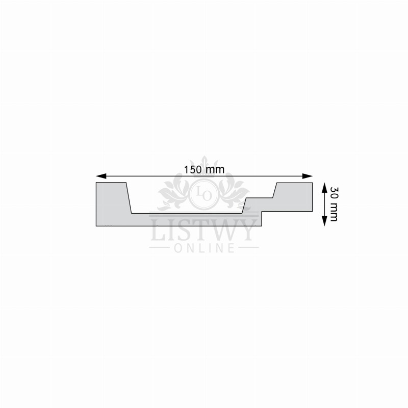LNG-23_Rys.tech.jpg
