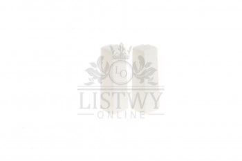Cezar-naroznik-zewnetrzny-listwy-masterline-komplet-bialy-mat-R9003.jpg