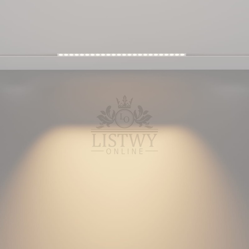 TR031-4-24WTW-DD-W 3.jpeg