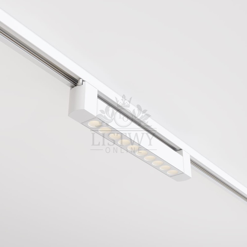 1.jpeg