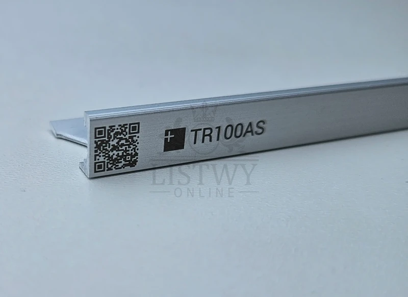 tr100AS.webp