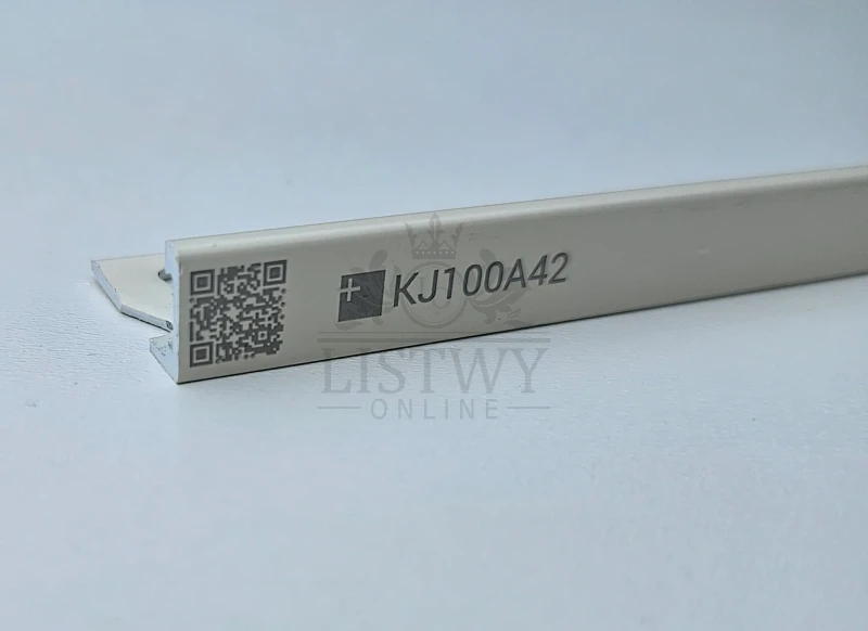 KJ100A42.webp