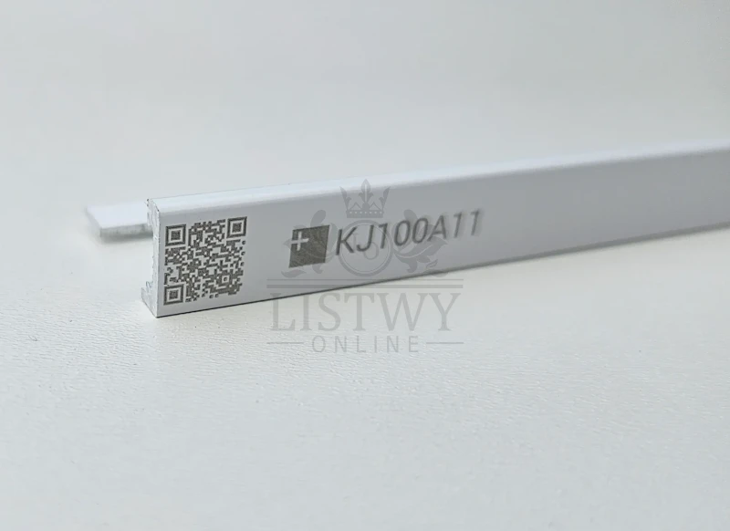 KJ100A11.webp