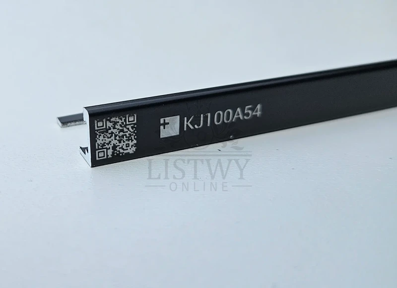 KJ100A54.webp