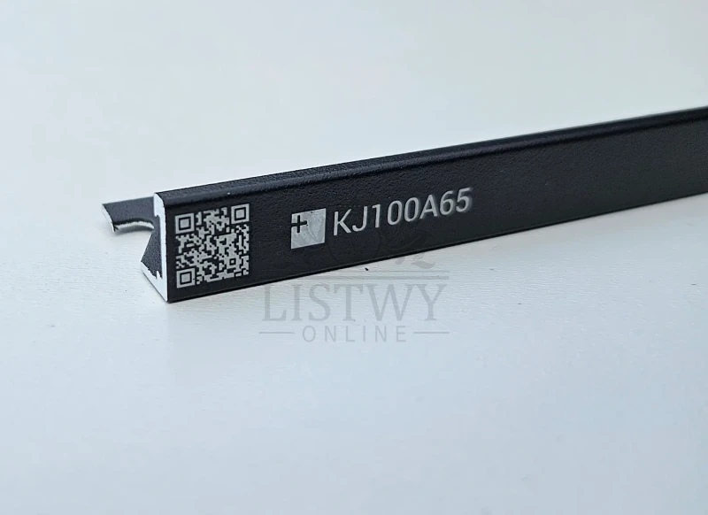 KJ100A65.webp