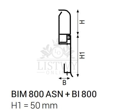 BIM..jpg
