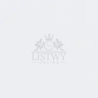 A11.webp