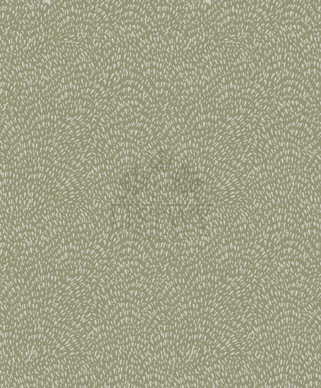 DWP0363-01-scaled.jpg