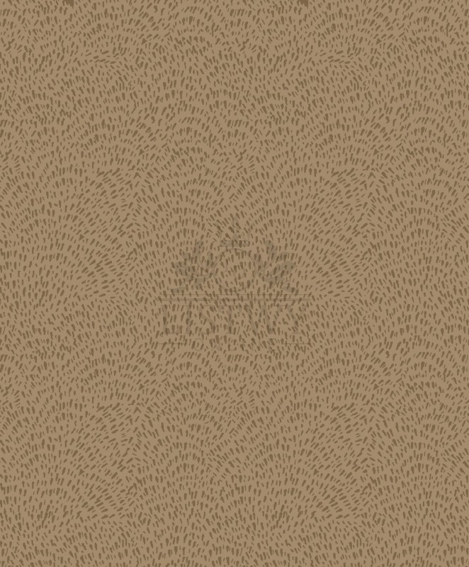 DWP0363-02-scaled.jpg