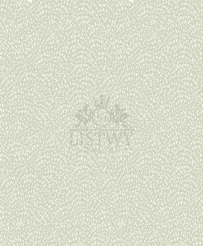 DWP0363-03-scaled.jpg