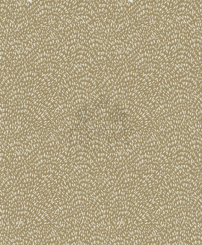 DWP0363-08-.jpg