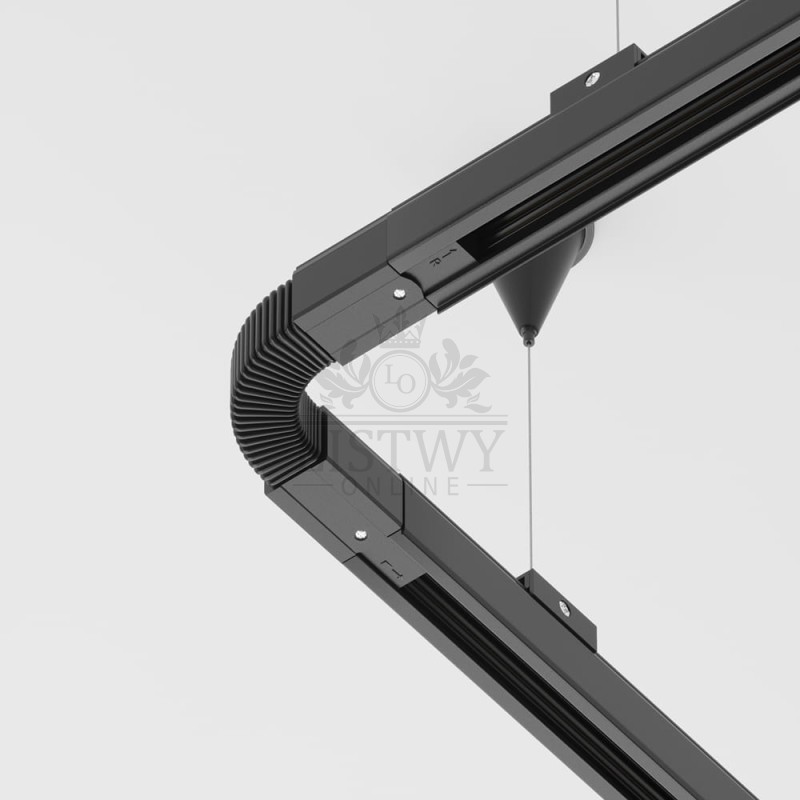 3.jpeg