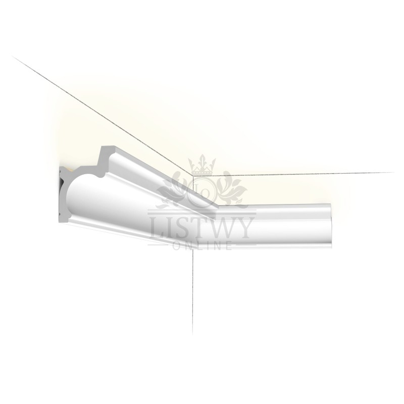 C328_IL (1).jpg
