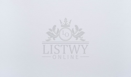 Tapeta obiektowa Vinylpex W-57-354 MARK