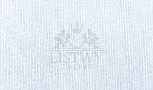 Tapeta obiektowa Vinylpex W-57-353 MARK