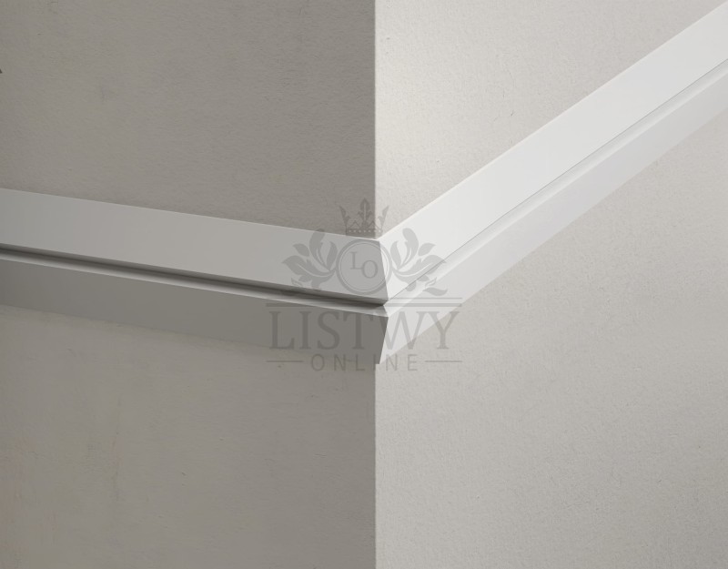 LNG-61 Listwa Naścienna 50x8x2440 - rzut 2.jpg