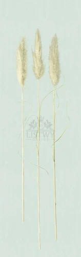Tapeta ścienna Natural Opulence 33270 3,3 m x 70 cm