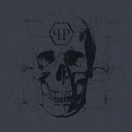 Mural Z81078 Philipp Plein 3 x 3 m