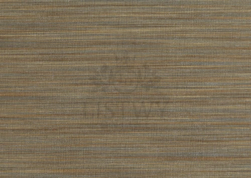 Tapeta ścienna Amazonia 6587 10,05 m x 70 cm