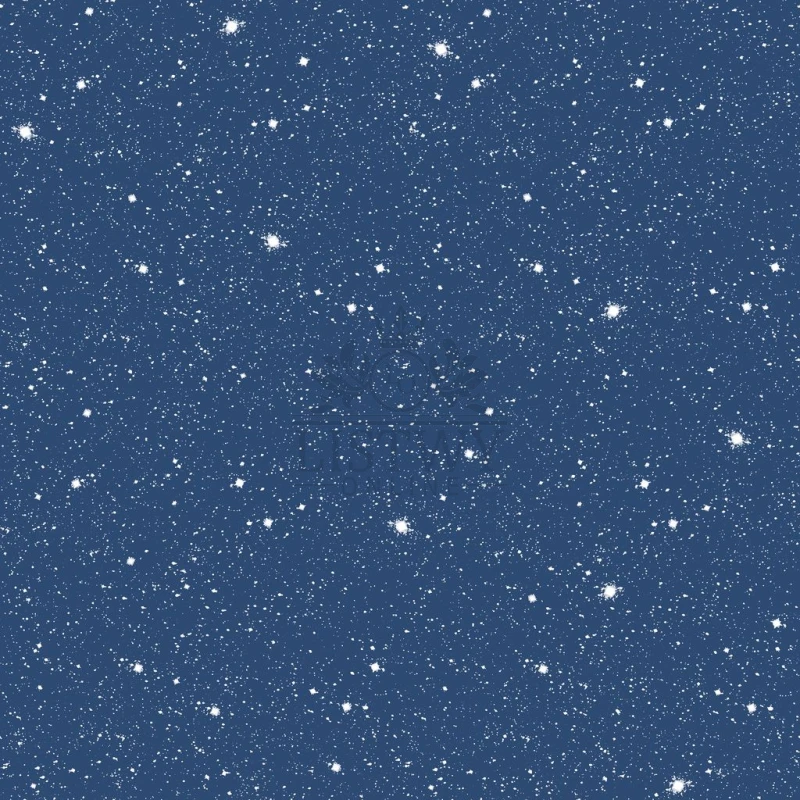 78408.jpeg