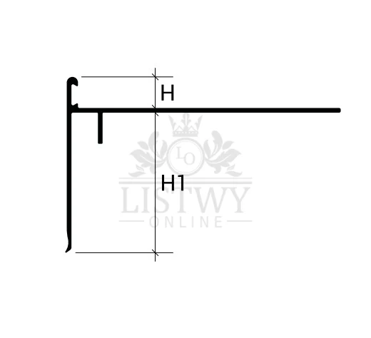 bordertec BSS.rys.jpg